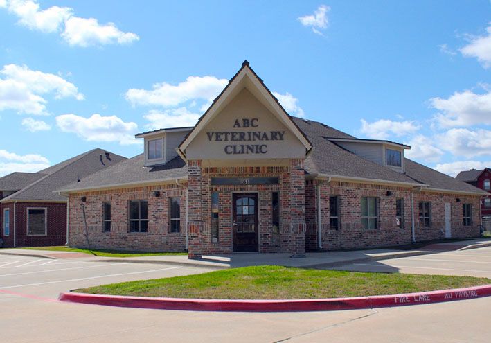 About ABC Veterinary Clinic l Veterinarian Lewisville, Flowermound