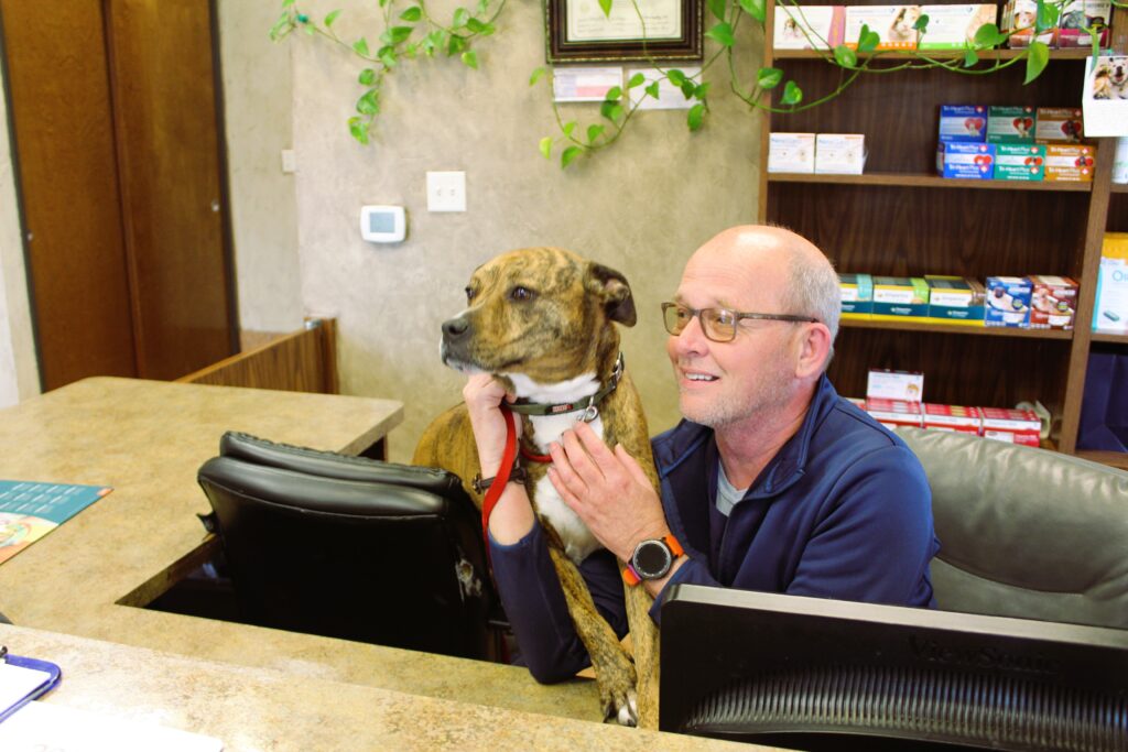 Man smiling at a brindle dog sitting at a reception desk.