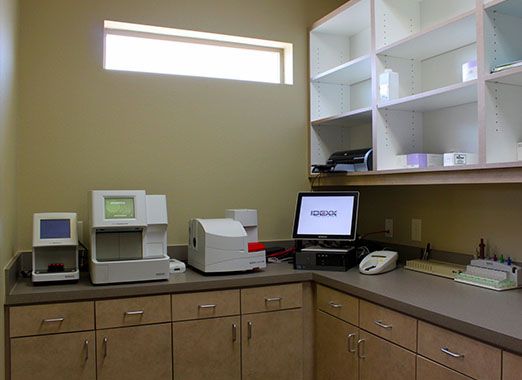 Laboratory workbench with various medical or analytical equipment and open shelving.