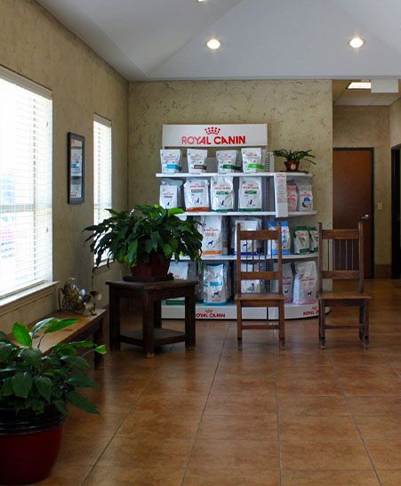 Interior of a veterinary clinic with a display of Royal Canin pet food and plants.