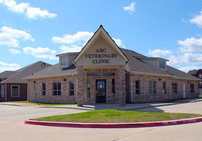 A one-story brick veterinary clinic under a clear blue sky.