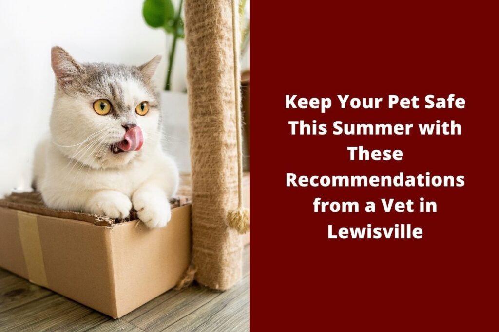 A cat in a cardboard box licks its nose with a perfidious look.