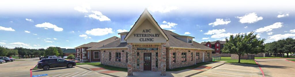 Exterior view of ABC Veterinary Clinic building with parked cars.