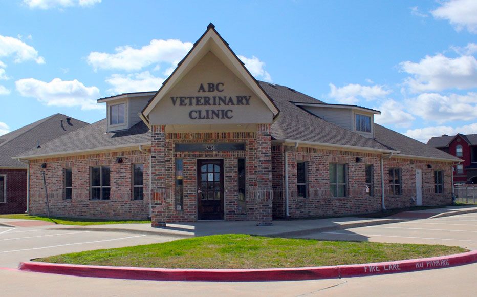 Brick veterinary clinic building with a gabled entrance labeled "ABC Veterinary Clinic."