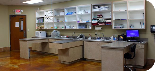 Interior of a well-equipped hospital workspace with desks, shelves, and medical supplies.