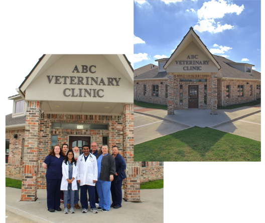 New (1) Team of medical professionals in front of a veterinary clinic building.