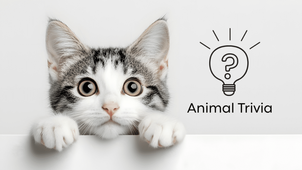 vet near me quiz for dogs and cats in Lewisville TX