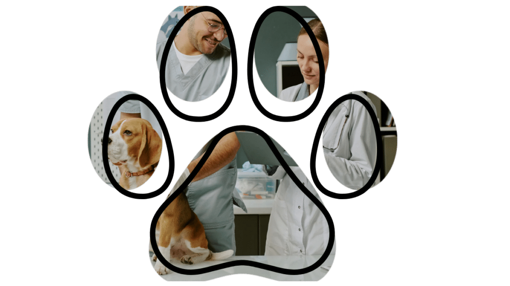 dog wellness exam with vet near me in Lewisville