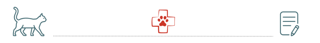 pet insurance support during emergency visit at ABC Veterinary Clinic of Lewisville in Lewisville TX