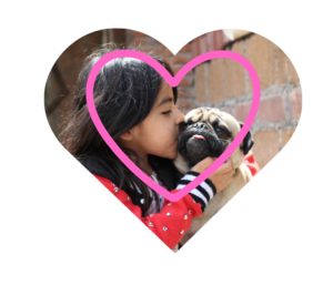 Experienced vet in Lewisville, TX providing personalized veterinary care at ABC Veterinary Clinic of Lewisville