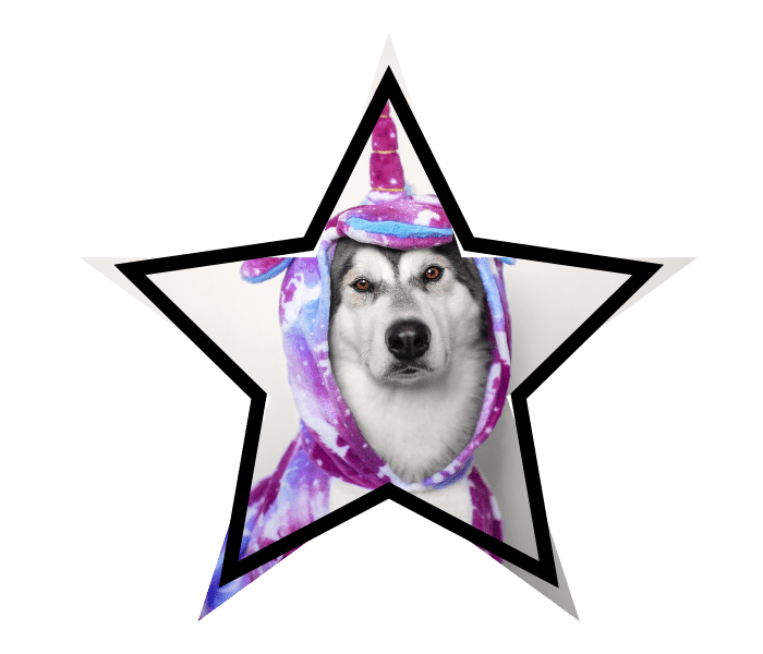 Dog wearing a unicorn costume promoting veterinary services at ABC Veterinary Clinic of Lewisville in Lewisville, TX