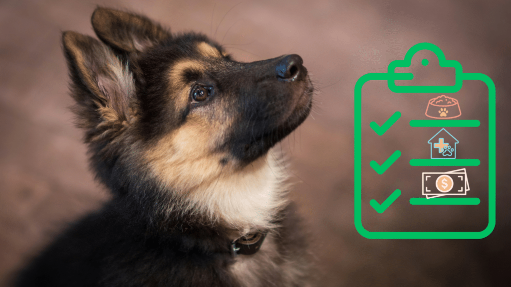 Puppy beside a new pet care checklist for pet owners in Lewisville, TX