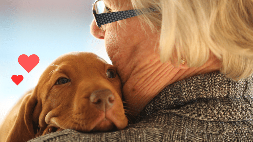 Pet owner cuddling a new puppy as part of preparing for pet ownership in Lewisville, TX
